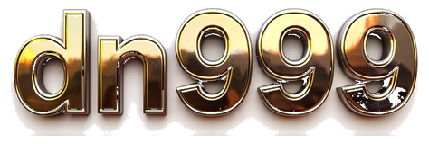 dn999 logo